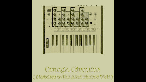 "Intermission B" by Caalamus from "Omega Circuits ( Sketches w-the Akai Timbre Wolf )"