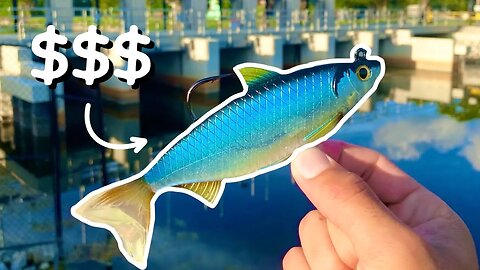 FISHING with the MOST EXPENSIVE SWIM-BAIT I OWN 😳
