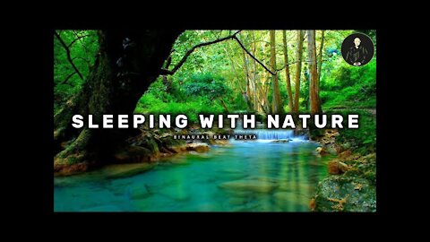 Sleep With Nature | Stress Relief | Sleeping Relaxing And Meditation