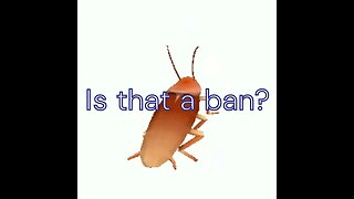 Is That a Ban?