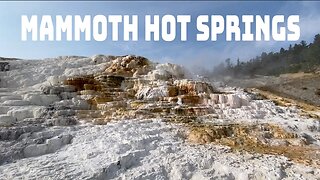 Majestic Mammoth Hot Springs In Yellowstone National Park