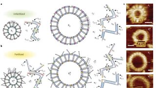 Grey Goo is Here, New Self Replicating DNA Computers Blow the Doors Off Quantum Computers