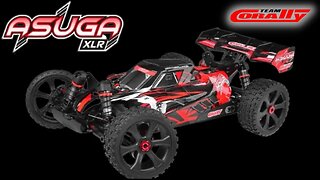 MORE INFO on the NEW ASUGA XLR from Team Corally