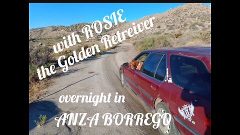 car camping in anza borrego