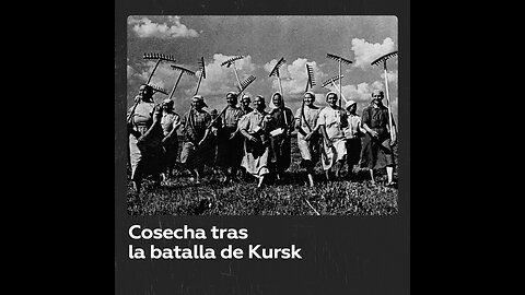 Cosecha en Kursk: estampa bucólica tras la mayor batalla de tanques