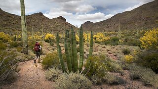 Report: Border Barrier Could Damage Archaeological Sites In Arizona