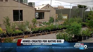 Tucson couple opens local Nursery