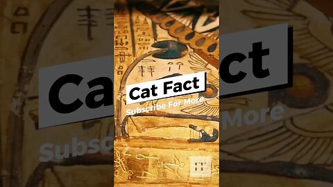 Cat Facts - You Don't Know😺#cats #catfancy #catlover #cat #catvideos #catsoftiktok #catsofinstagram