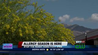 Beat your seasonal allergies