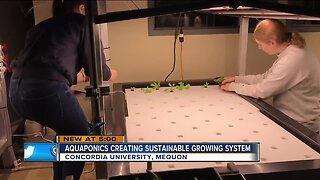 Farming with fish: Concordia working on future of agriculture