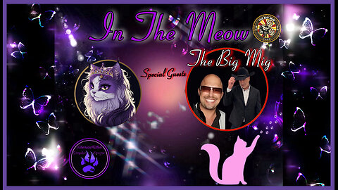 In The Meow | With Special Guests George Balloutine and Lance Migliaccio