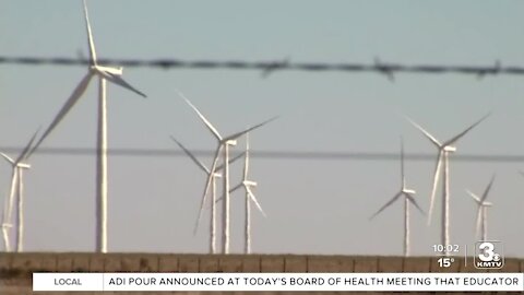 Experts say renewable energies aren't to blame for power outages