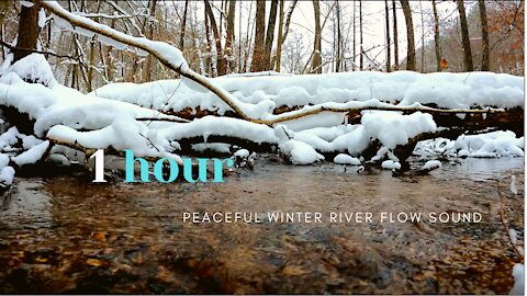 Beautiful Winter Relaxing River Sound