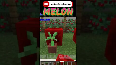 Watermelon | Minecraft