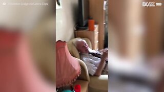 Ce vieil homme pleure en recevant un coussin à l'effigie de sa femme