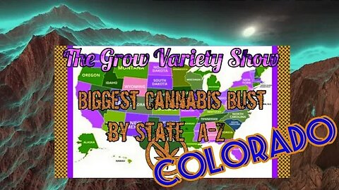 Biggest State Illegal Cannabis Bust: Colorado