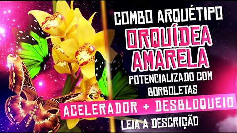 Arquetipo Orquídea amarela + borboletas Reload -Valkinesis