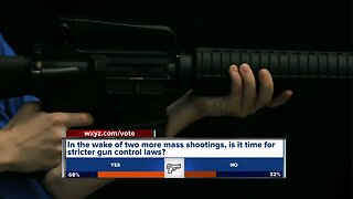 Michigan rep. calling for 'red flag legislation' in wake of shootings