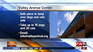 Valley Animal Center open to provide safe haven for pets affected by fires