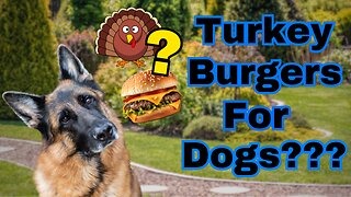 Why We Feed Raw Turkey Burgers to our German Shepherds!!!