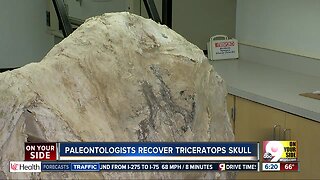 Fossil extraction to begin Thursday morning at CMC