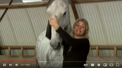 Part 2 of 3 - Evaluation Of Mia Lykke Nielsen Training Dutch Show Jumper