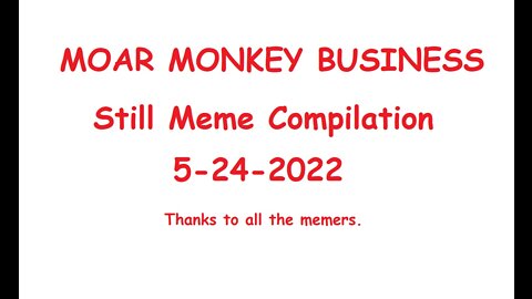 MOAR MONKEY BUSINESS Still Meme Compilation 5-24-2022 🐵🙈🙉🙊🐒🍌