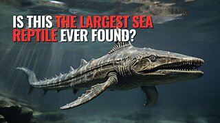 Is This the Largest Sea Reptile Ever Found?