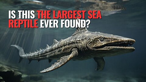 Is This the Largest Sea Reptile Ever Found?