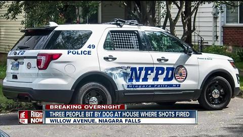 Niagara Falls police investigating shots fired at home and dog bite