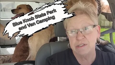 Minivan Camping with 3 dogs and a cot | #senior female vanlife