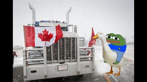 Compilation: Canadian truckers vs. elite's tyranny