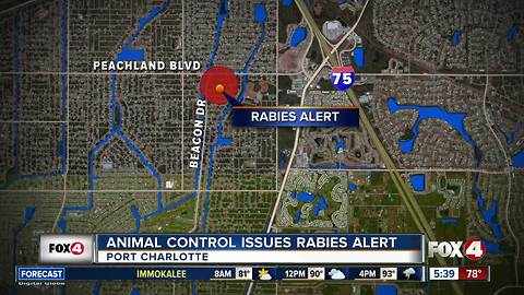 Port Charlotte issues rabies alert
