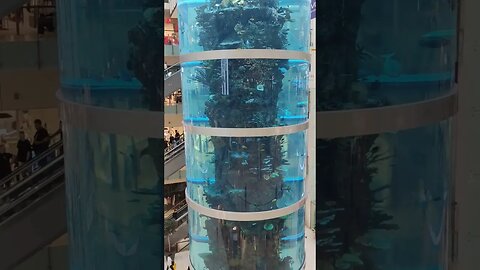 5 Level Fish Tank Russian Shopping Centre #russia #moscow #fishtank #biggest #biggestfishtank