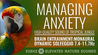 Managing Anxiety With 528Hz Monaural BWE Dynamic Alpha 7.4-11.7Hz With HQ Sounds Of Tropical jungle