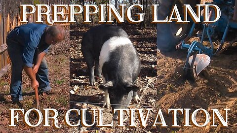 Preparing Land for Cultivation with Hand Tools, Pigs, and Plows - The FHC Show, ep 15