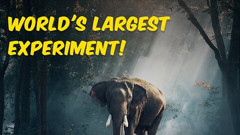 World's Largest Experiment!