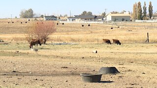 National Rural Health Day