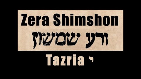 Zera Shimshon Tazria 5781 י - Rabbi Zvi Kahn