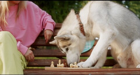 Girl Playing Chess ♟️ With Their 🐶 Dog Broomo