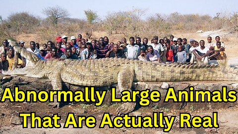 Abnormally Large Animals That Are Actually Real