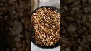 Mushroom Bites Tiktok asiamakes