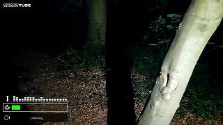 HAUNTED SLINDON FOREST