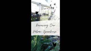 Reviewing our Palram Greenhouse // Small Space Greenhouse