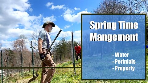 Spring Time Homesteading Chores