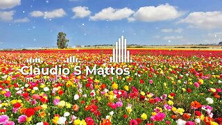 Claudio S Mattos - Lírios Do Vale