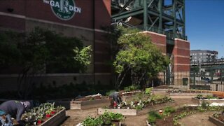 All-Star Game community projects include garden improvements