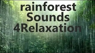 Fall Asleep Quickly, 11 Hours of Soothing Heavy Rains Thunder Lightning Winds & Bird Sounds