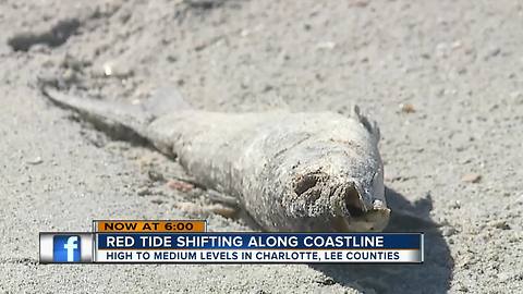 Red Tide Shifting Along Coastline