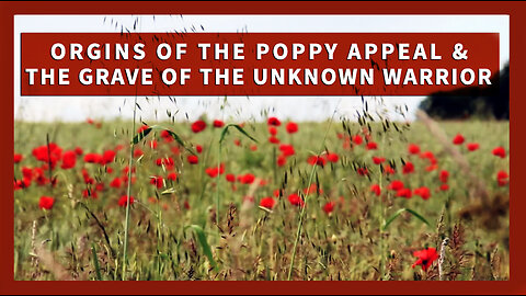 Remembrance Day: Origins of the Poppy Appeal & The Grave Of The Unknown Soldier
